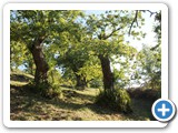 San Godenzo (31)